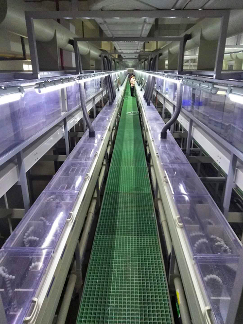 鋼帶連續(xù)電鍍線 鋼帶連續(xù)電鍍線